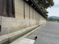 -京都御所