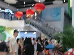 -中国宋庆龄青少年科技文化交流中心