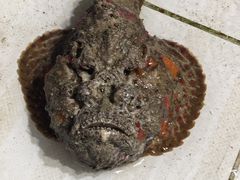 -海盗餐厅