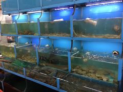 -食鼎记海鲜大排档(美食街店)