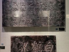 -白鹤梁水下博物馆