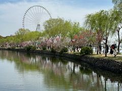-无锡蠡湖国家湿地公园-蠡园