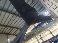 -上海海洋大学鱼文化博物馆(军工路校区)