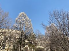 -北京西山国家森林公园