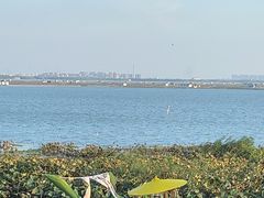-七的湖·晚芳亭·阳澄湖农家菜·大闸蟹(莲花岛店)
