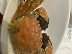 -半岛听涛蒸汽海鲜自助(K11店)