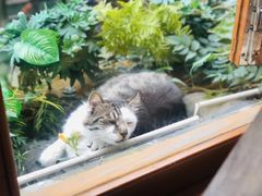 -猫的天空之城概念书店(苏州平江店)