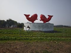 -光明小镇欢乐田园