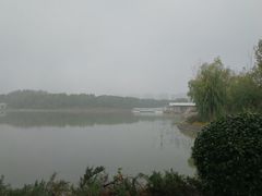 -大兴滨河森林公园