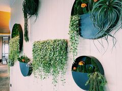 -新加坡瑞士史丹福酒店