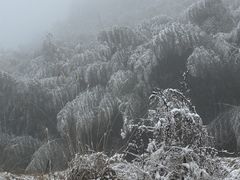 -四明山国家森林公园