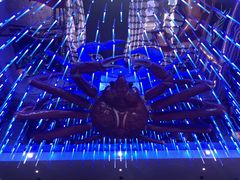 -蟹之国·精品蟹料理(极地店)