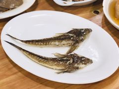 -长平肥姐白粥·海鲜打冷
