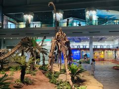 -自贡恐龙博物馆