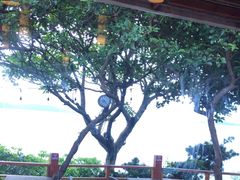 -美人鱼悬崖海景餐厅(鹿嘴山庄店)