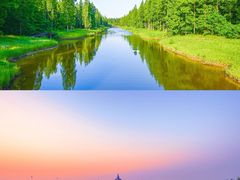 -盐城丹顶鹤湿地生态旅游区