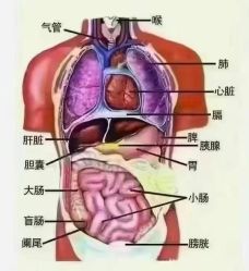 -名发世家烫染