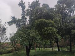 -贵阳市花溪国家城市湿地公园