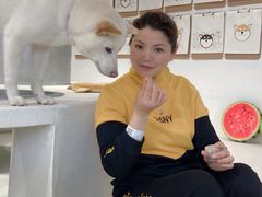 -柴务处·柴犬主题狗咖