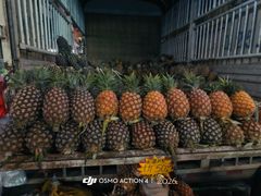 -曼阁市场水果批发市场