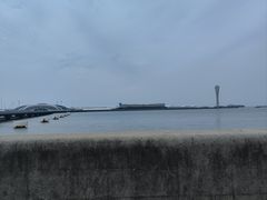 -吴淞炮台湾湿地森林公园烧烤区