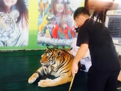 景点-东芭乐园