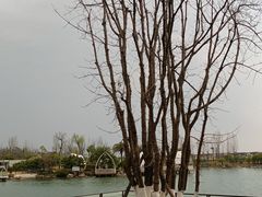 -云里小坐·海泉湾·团建·宴席·下午茶(金堂海泉湾店)