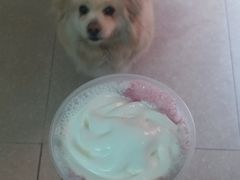 -喜茶(广州番禺奥园广场店)