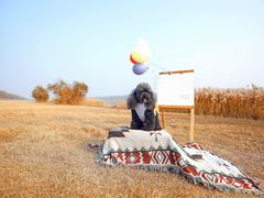 -超宠爱宠物摄影-Super pet