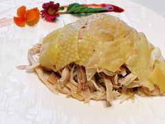 -蝶园·装修中(BFC外滩金融中心店)