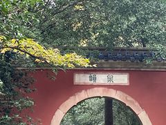 -灵谷景区