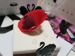 -BLACKSWAN黑天鹅(环球店)