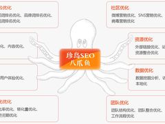 SEO-珍岛信息技术（上海）股份有限公司