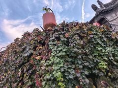 -西安唐皇城墙含光门遗址博物馆