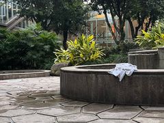 -融汇温泉