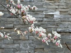 -东华门大街小区