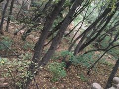 -云峰山自然风景区