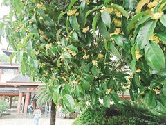 -浙江省博物馆(孤山馆区)