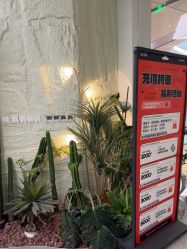 -慕名造型