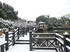 -苏州城市学院