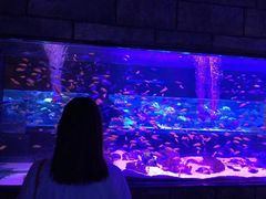 -zoonana室内动物园(东方福来德店)