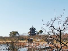 -上海海湾国家森林公园