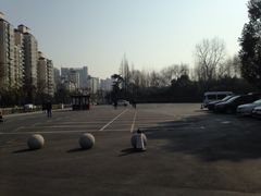 -大宁郁金香公园-停车场