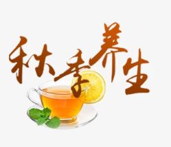 -雅曼妮spa美容养生