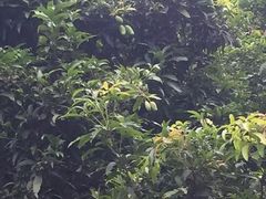 -青青世界