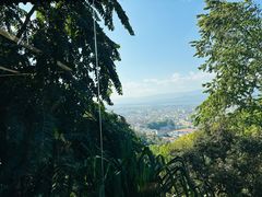 -品德宏·孔雀宴的发源地(金塔园店)