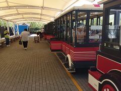 -呼兰河口湿地公园