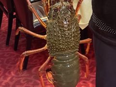 -Lucky Fortune Restaurant(喜运来酒家)