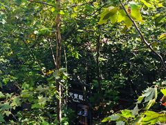 -上海哈尔滨食品厂(淮海中路店)