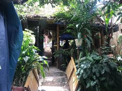 -Jungle Kitchen